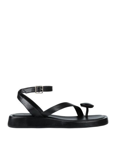 Gia Rhw Toe Strap Sandals In Black