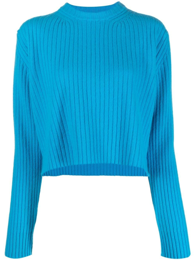 Laneus Ribbed Knit Wool Sweater In Turquoise