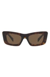 Prada 50mm Square Sunglasses In Tortoise