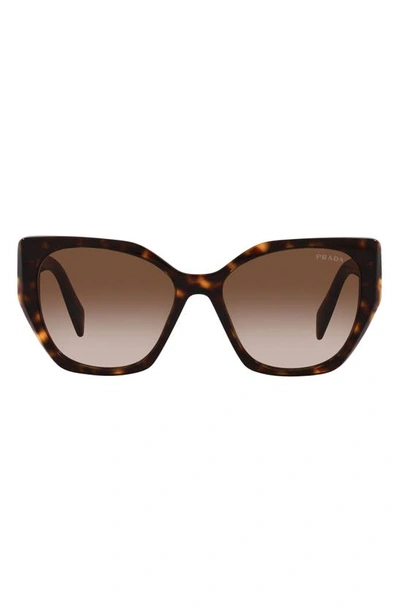 Prada 56mm Gradient Polarized Rectangular Sunglasses In Tortoise