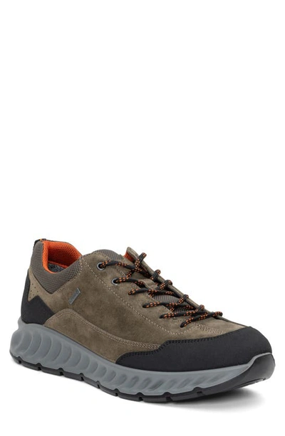 Ara Petro Waterproof Sneaker In Olive