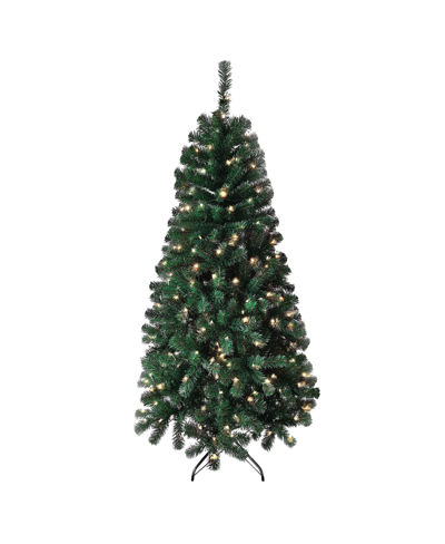 National Tree Company Acacia Pre-lit Christmas Tree With 300 Clear Incandescent And Multicolor Lights, Plug In, 6ft In Clear Lights