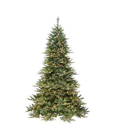 Puleo 6.5' Pre-lit Royal Majestic Douglas Fir Downswept Tree With 500 Underwriters Laboratories Clear Inca In Green