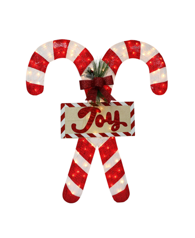 Puleo 4' Lighted Outdoor Fabric Mesh Candy Cane Pair With 100 Underwriters Laboratories Clear Incandescent In Red