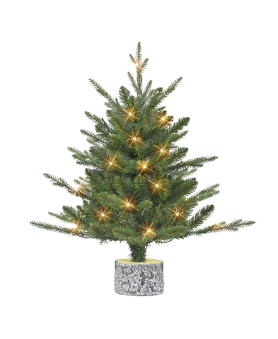 Puleo 2' B/o Potted Tree With 20 Warm White Led Lights, 188 Tips In Green