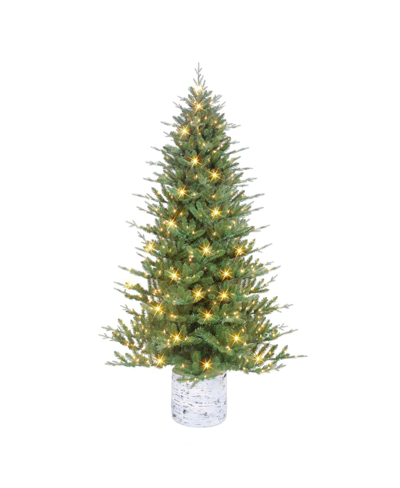 Puleo 6.5' Potted Tree With 350 Underwriters Laboratories Clear Incandescent Lights, 1186 Tips In Green