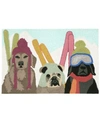 Liora Manne Front Porch Indoor Outdoor Ski Patrol Multi Area Rug