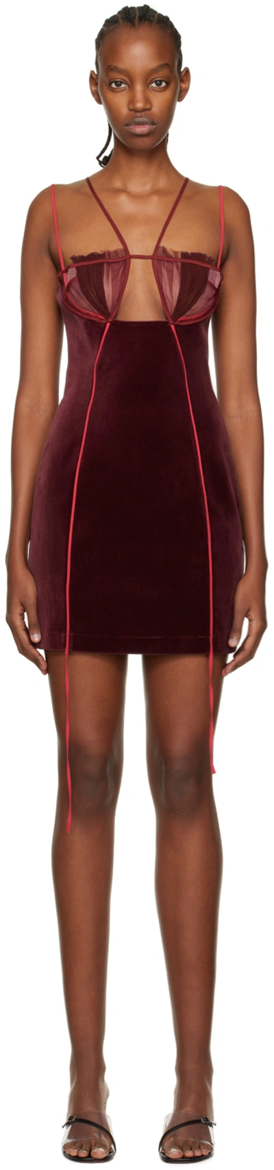 Nensi Dojaka Cutout Tulle-trimmed Velvet Mini Dress In Burgundy