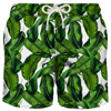 Mc2 Saint Barth Gustavia Leaf-print Swim Shorts In Green