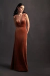 JENNY YOO LOGAN DEEP-V VELVET COLUMN GOWN