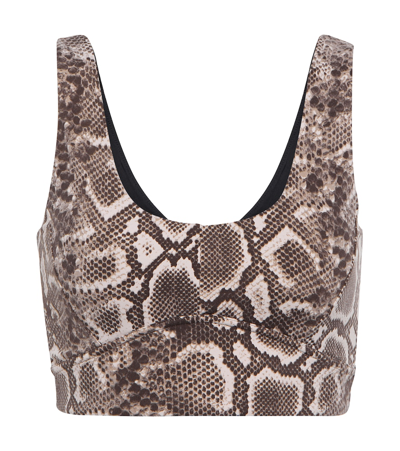 Varley Let's Go Elsie Snake-print Stretch Sports Bra In Taupe Rattlesnake