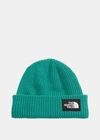 The North Face Salty Dog Beanie In Wasabi