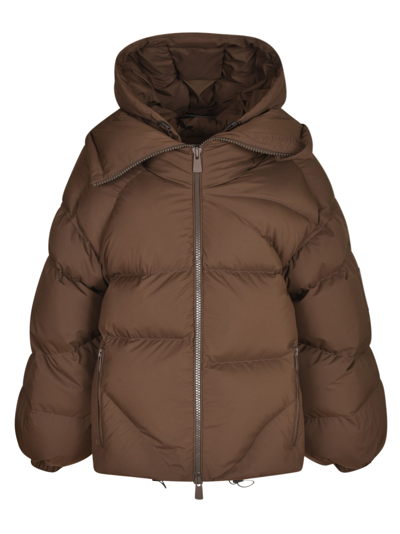 Bacon Feather-down Puffer Jacket In Chocolate