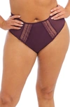 Elomi Matilda Full Figure Embellished Briefs In Wine Diamond