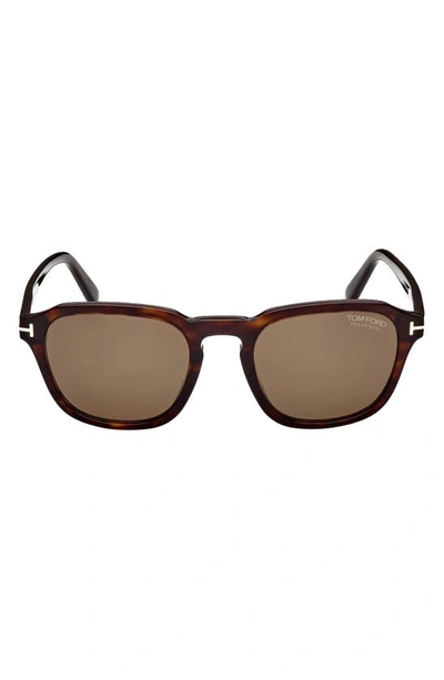 Tom Ford Avery 52mm Polarized Round Sunglasses In Dark Havana / Brown Polarized