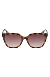 Guess 55mm Gradient Square Sunglasses In Dark Havana / Gradient Brown