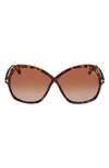 Tom Ford Rosemin 64mm Gradient Oversize Butterfly Sunglasses In Shiny Dark Havana/ Brown