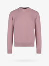 Nugnes 1920 Sweater In Pink