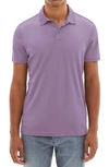 Robert Barakett Georgia Pima Cotton Polo In Lavender Leaf