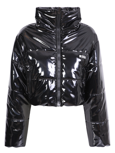 Msgm Cropped Puffer Jacket In Black