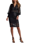 Tadashi Shoji Pleated Sequin Lace-trim Dress In Black