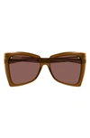 Balenciaga 57mm Butterfly Sunglasses In Brown