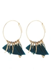 Gas Bijoux Marly Feather Hoop Earrings In Deep Green / Emerald