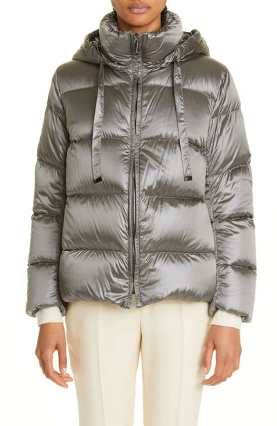 Max Mara Gray The Cube Spaces Down Jacket In Grey