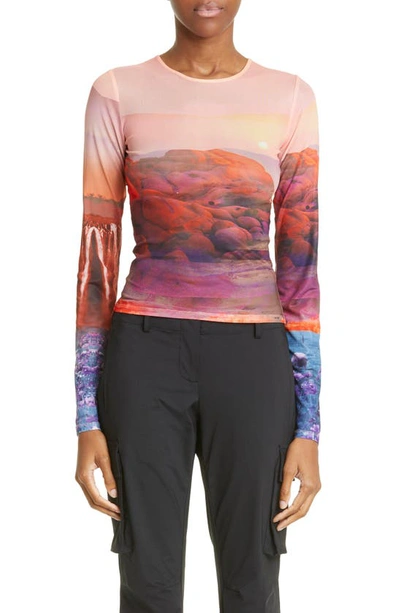 Miaou Oasis Print Long Sleeve Mesh Top In Multicolor