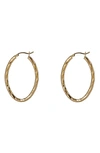 Argento Vivo Large Textured Oval Hoop Earrings In Gold