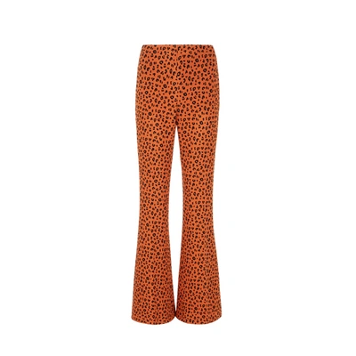 Miu Miu Leopard Print Trousers