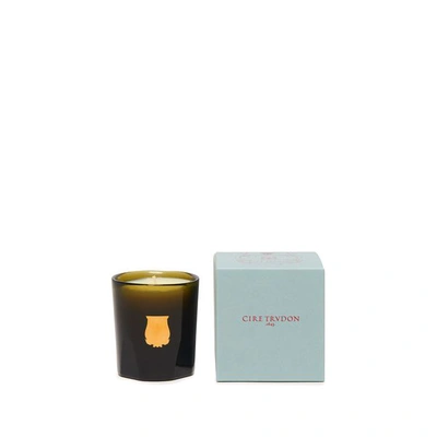 Trudon La Petite Bougie Ernesto (cuir Et Tabac) 70g In Green