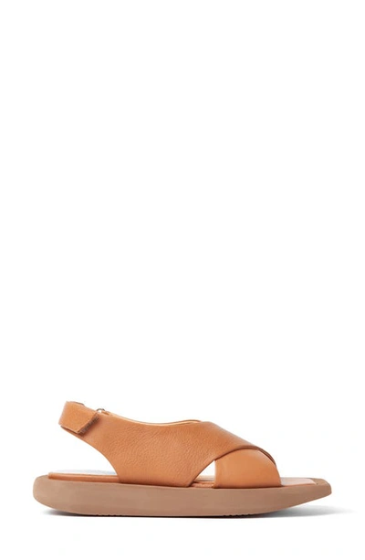 Paloma Barceló Sandals In Brown
