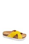 Yellow Kid Suede