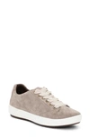 Ara Alexandria Suede Sneaker In Moon