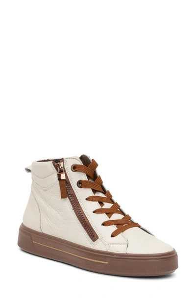 Ara Camden High Top Sneaker In Cloud