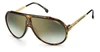 Carrera Endurance65 D6 0086 Aviator Sunglasses In Green