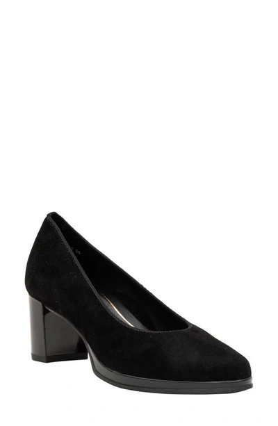 Ara Block Heel Pump In Black Suede