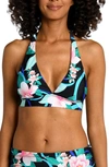 La Blanca Nightfall Banded Halter Bikini Top In Black