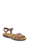 Naot Patricia Sandal In Oily Bark Nubuck