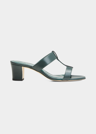 Manolo Blahnik Kesbihi Calfskin T-strap Slide Sandals In Green/black