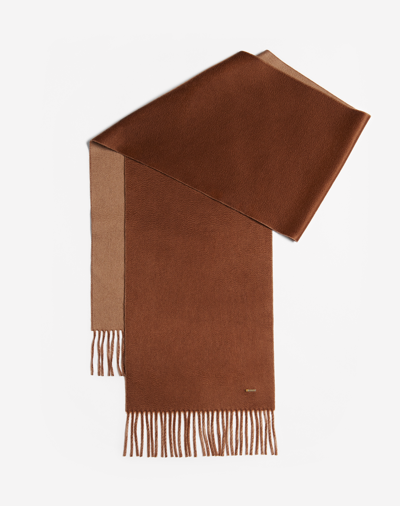 Dunhill Cashmere Double Face Scarf In Brown