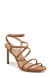 Sam Edelman Delanie Strappy Sandal In Frontier Brown