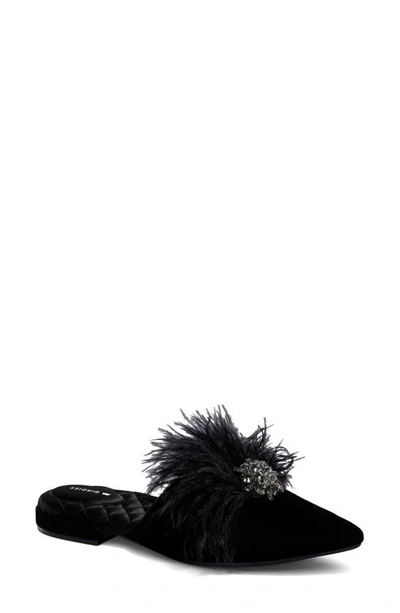 Birdies Dove Feathered Brooch Mule In Black Feathered Brooch