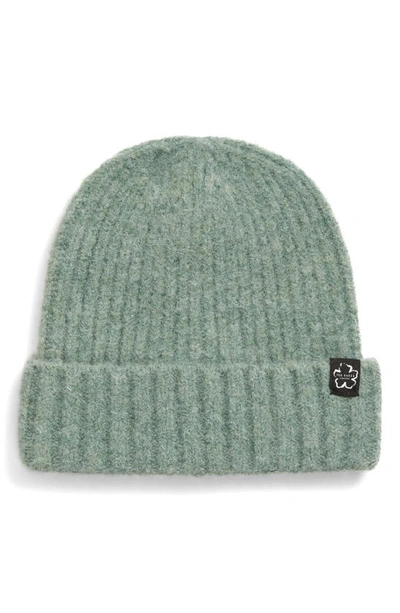 Ted Baker Britny Beanie In Green