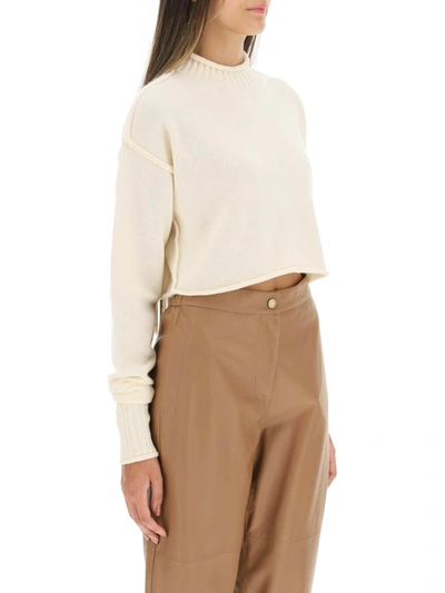 Sportmax Ivory Maiorca Sweater In Pink
