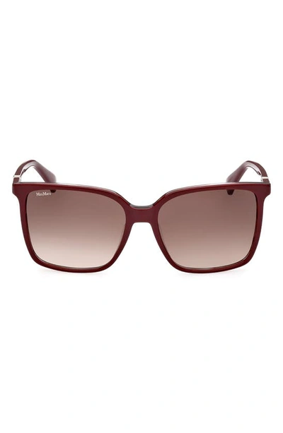 Max Mara 57mm Gradient Square Sunglasses In Shiny Bordeaux/ Grad Bordeaux