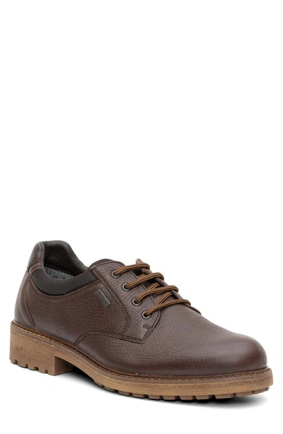 Ara Farren Waterproof Plain Toe Derby In Brown