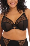 Elomi Namrah Bandless Underwire Plunge Bra In Black