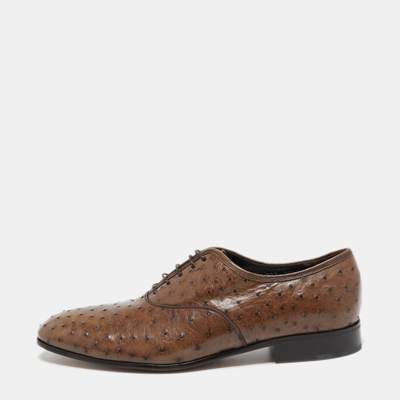 Pre-owned Salvatore Ferragamo Brown Ostrich Leather Oxfords Size 44.5